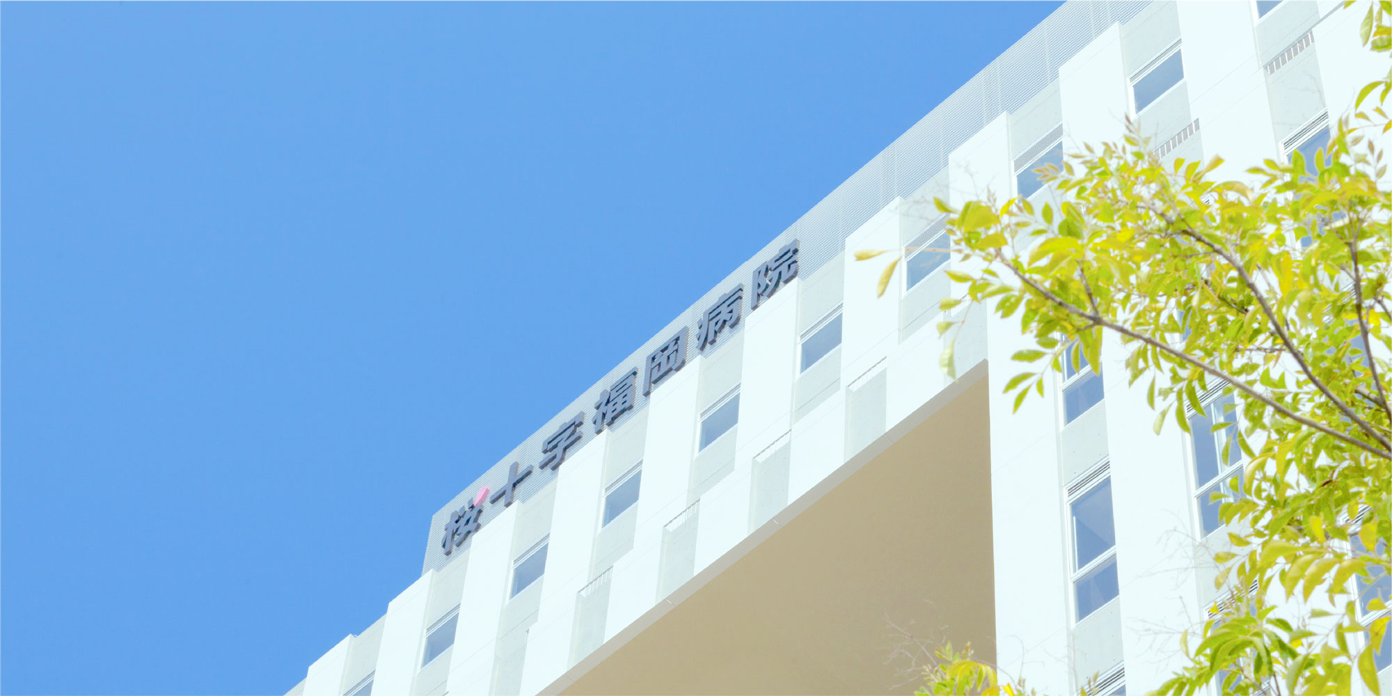 桜十字福岡病院